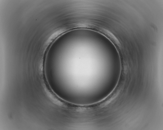 X0000112060938200908111409