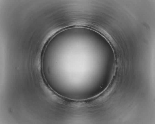 X0000112060939200908111409