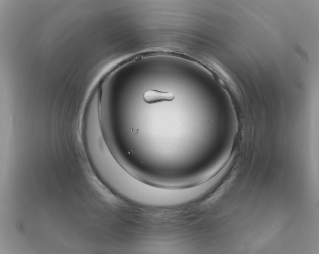 X0000112060940200908111409