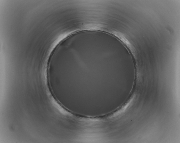 X0000112060941200908111409