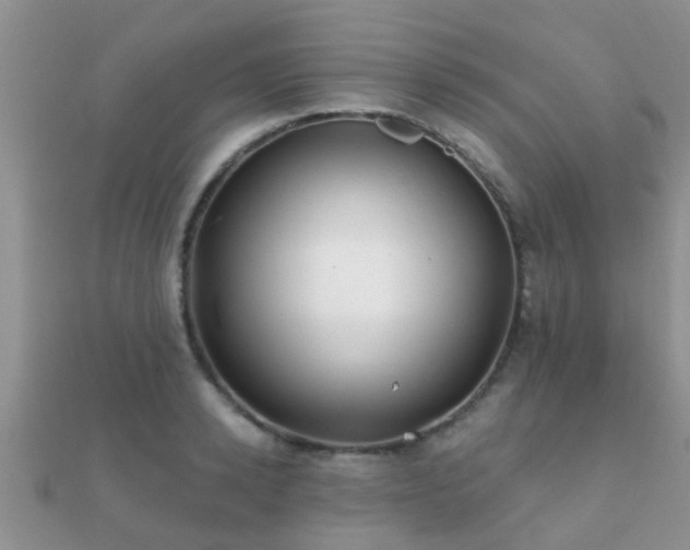 X0000112060942200908111409