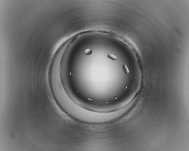 X0000112060944200908111409
