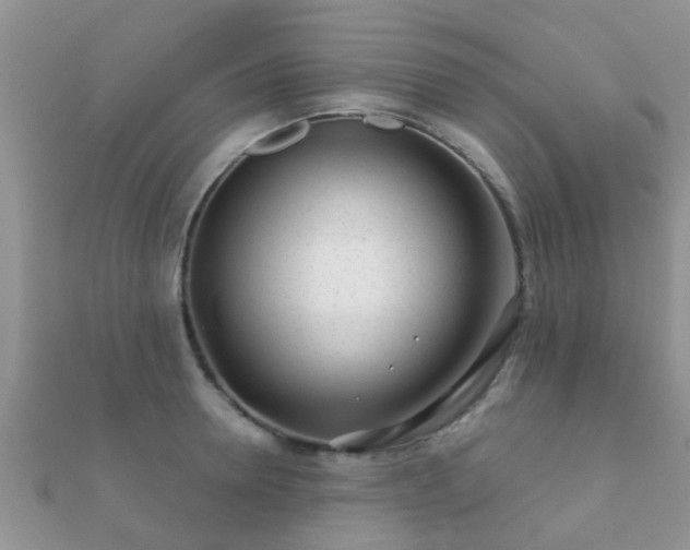 X0000112060946200908111409