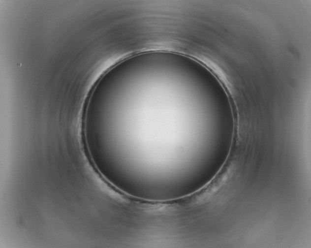 X0000112060949200908111409