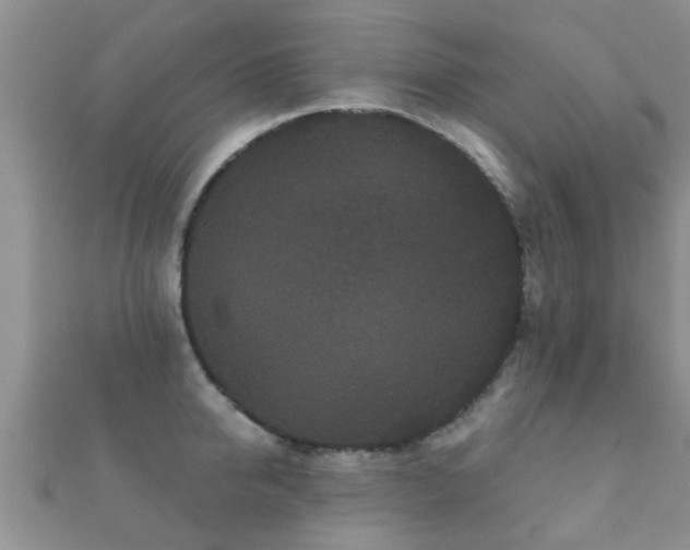 X0000112060950200908111409