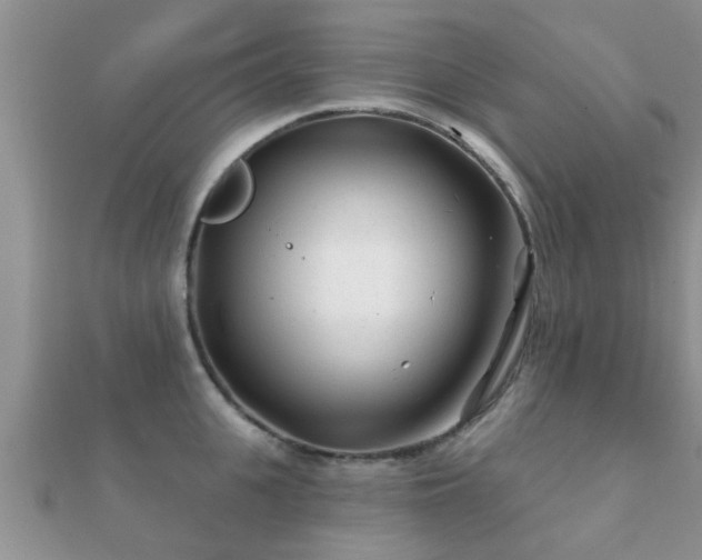 X0000112060951200908111409