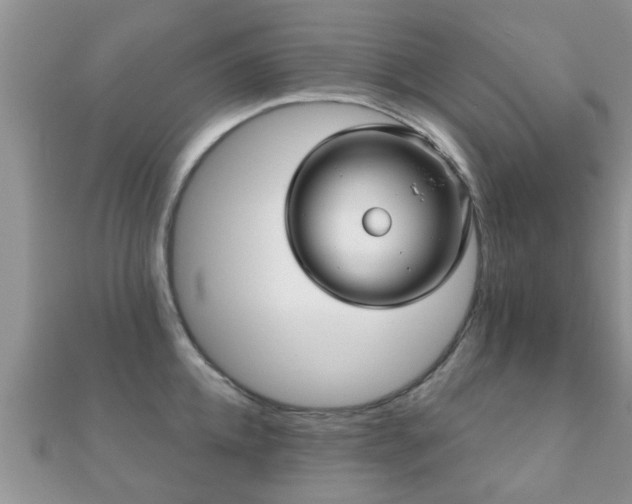 X0000112060952200908111409