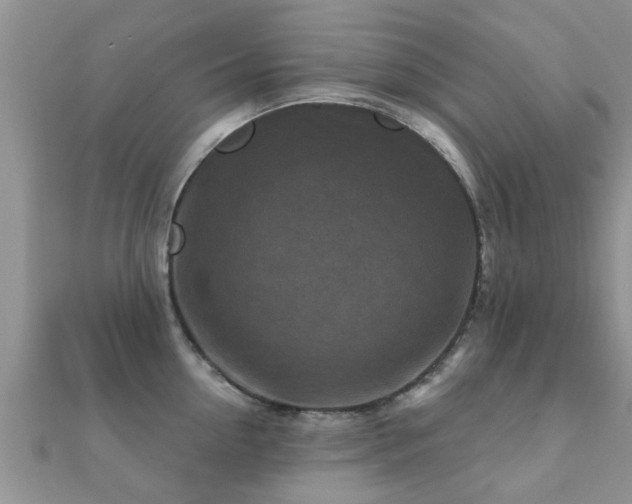 X0000112060954200908111409