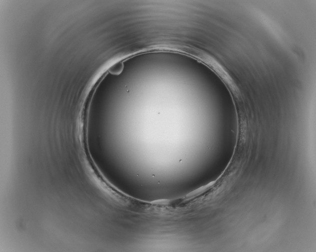 X0000112060955200908111409