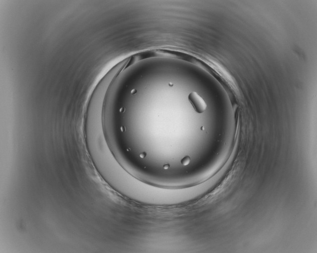X0000112060956200908111409