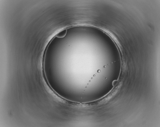 X0000112060957200908111409