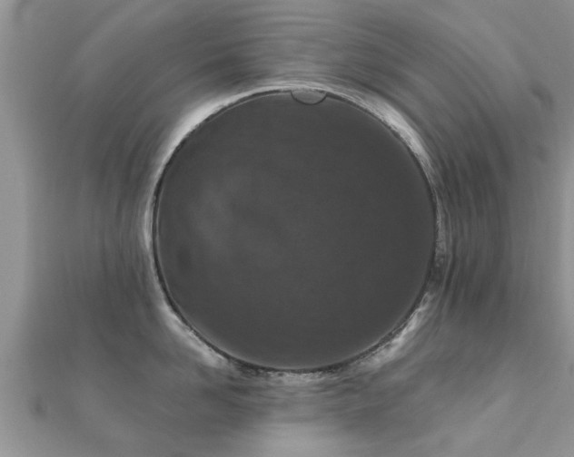 X0000112060958200908111409