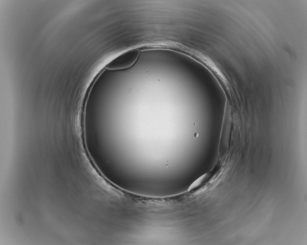 X0000112060959200908111409