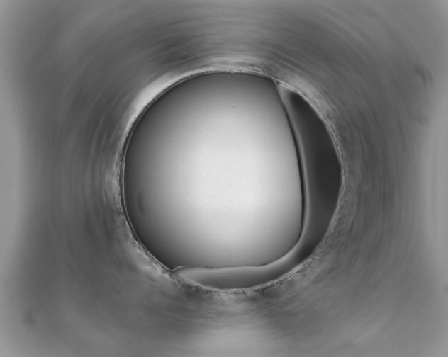 X0000112060960200908111409