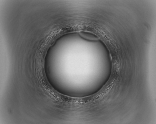 X0000112060961200908111408