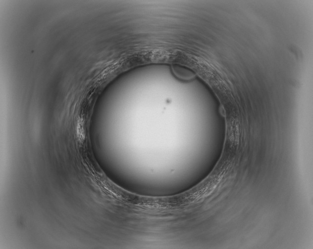 X0000112060962200908111408