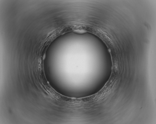 X0000112060964200908111408