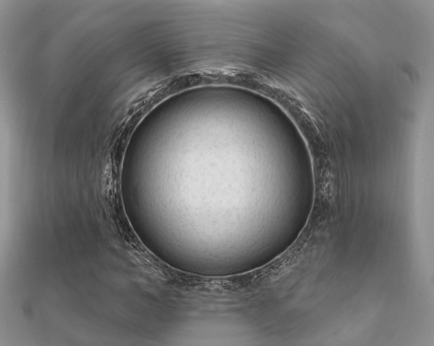 X0000112060966200908111408
