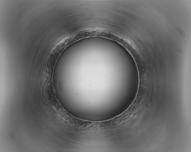 X0000112060967200908111408