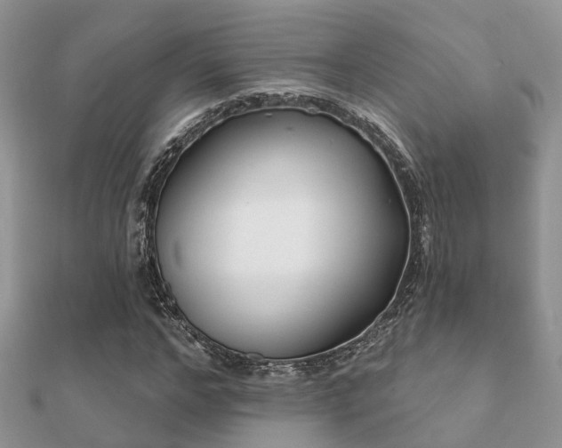 X0000112060968200908111408