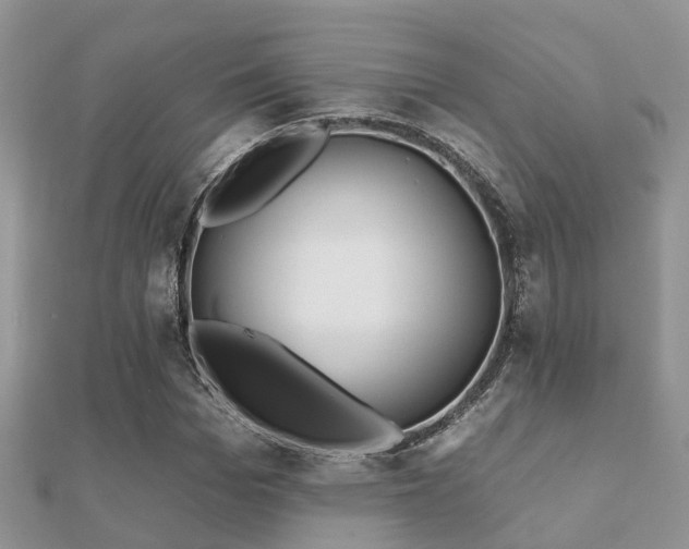 X0000112060969200908111408