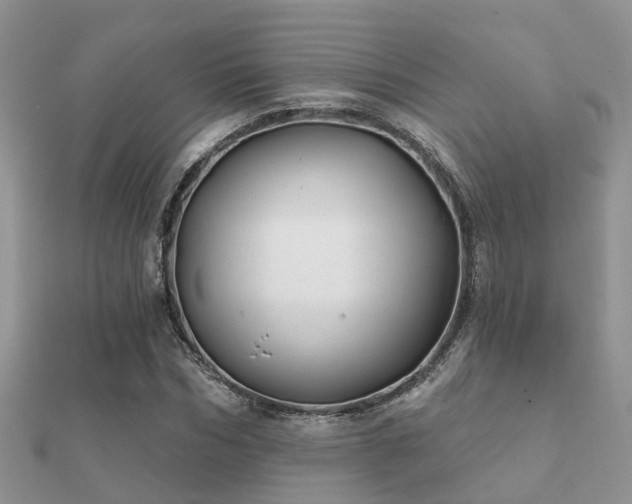 X0000112060970200908111408