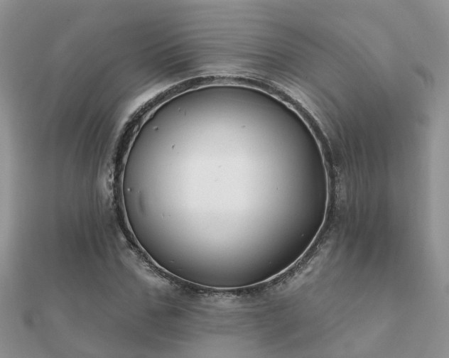 X0000112060971200908111408