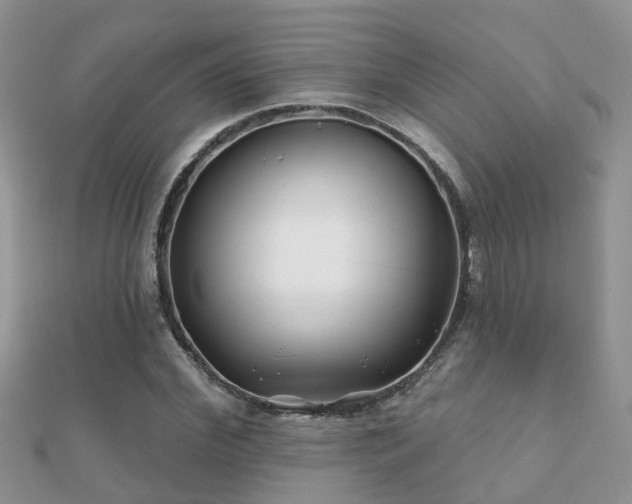 X0000112060972200908111408