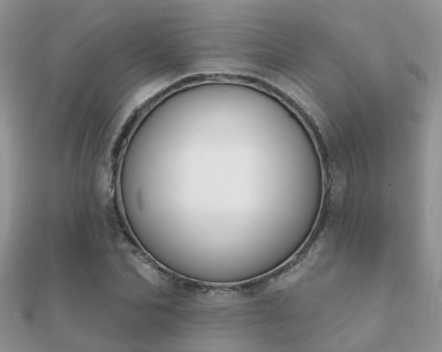 X0000112060974200908111408