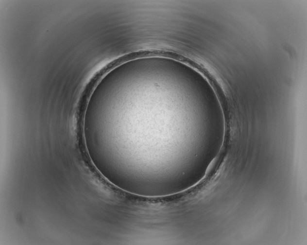 X0000112060975200908111408