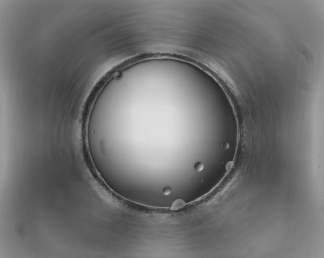 X0000112060976200908111408