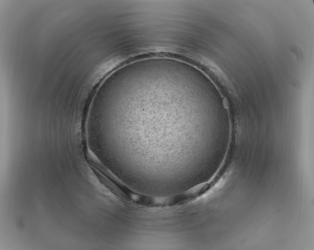 X0000112060977200908111408