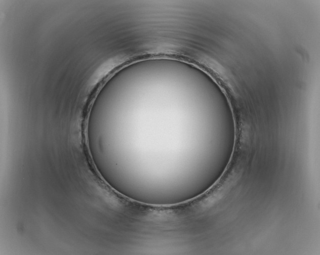 X0000112060978200908111408