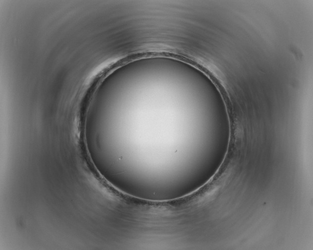X0000112060979200908111408