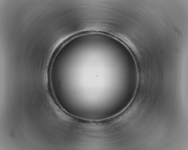X0000112060980200908111408
