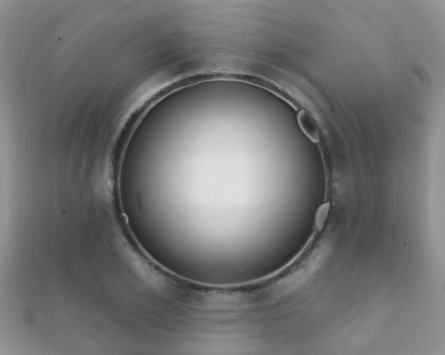 X0000112060981200908111408