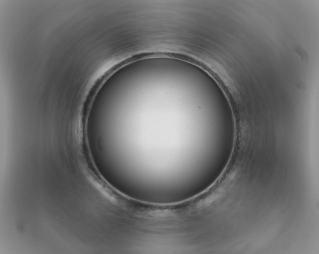 X0000112060982200908111408