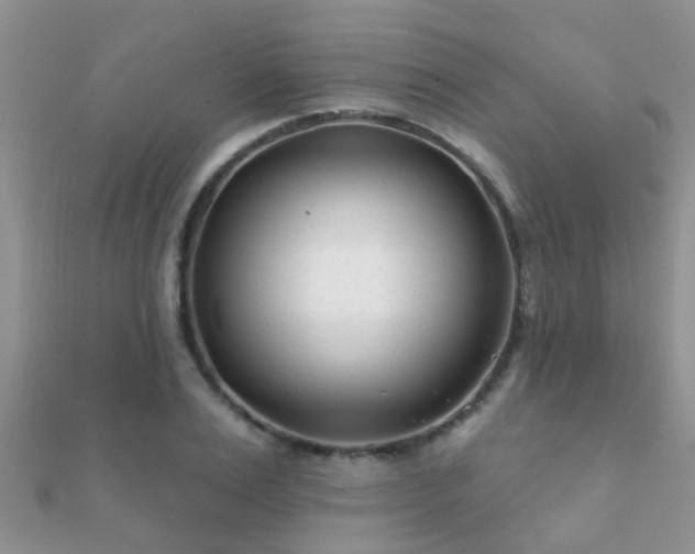 X0000112060983200908111408