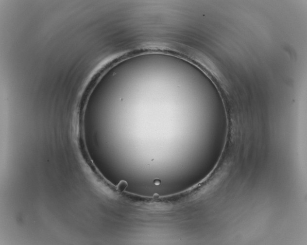 X0000112060984200908111408