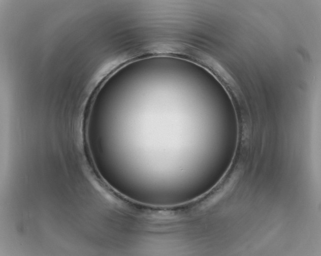 X0000112060986200908111408