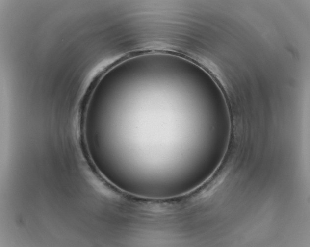 X0000112060987200908111408