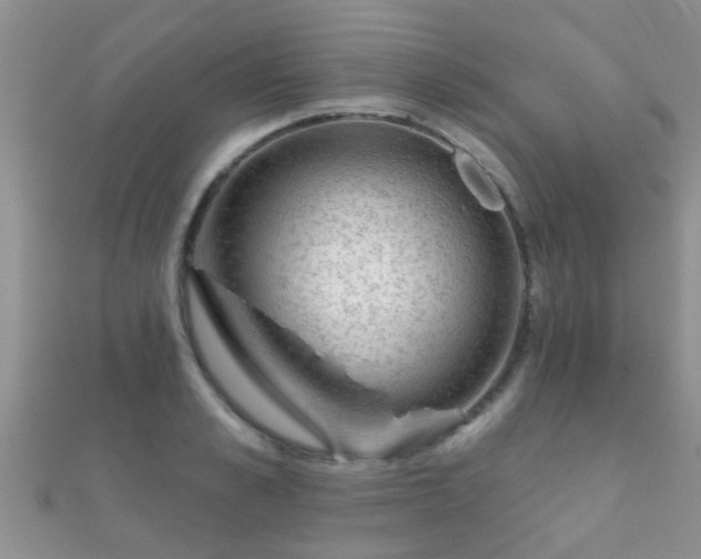 X0000112060989200908111408