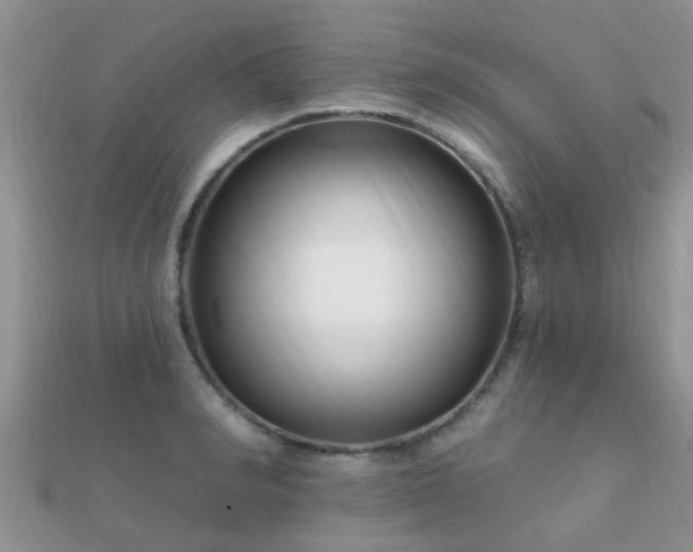 X0000112060990200908111408