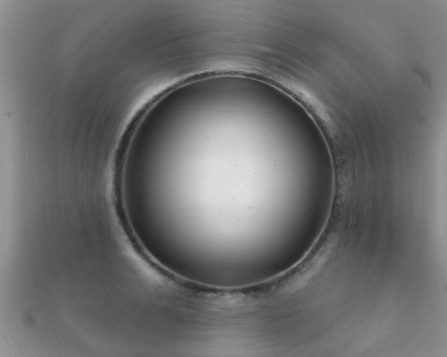 X0000112060991200908111408