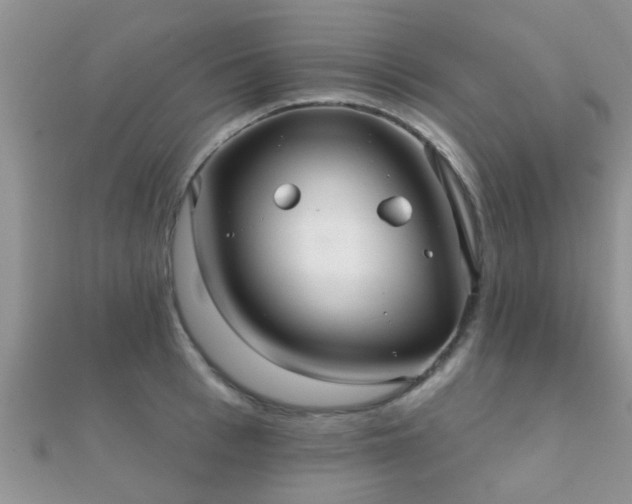 X0000112060993200908111408