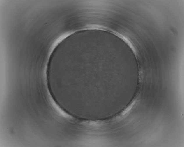 X0000112060995200908111408