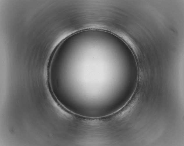 X0000112060999200908111408