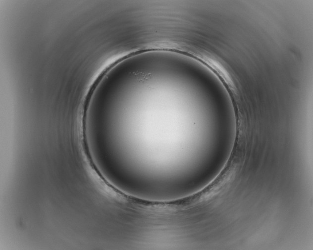 X0000112061000200908111408