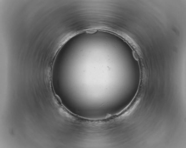 X0000112061001200908111408