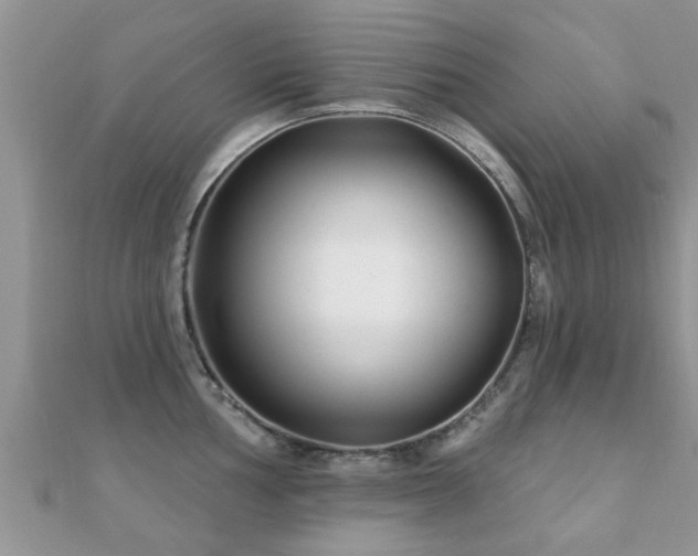 X0000112061002200908111408